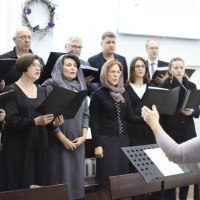 206-038
